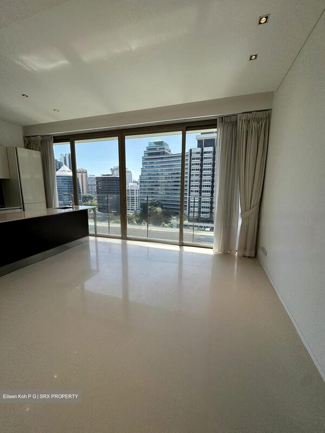 Scotts Square (D9), Apartment #481296421